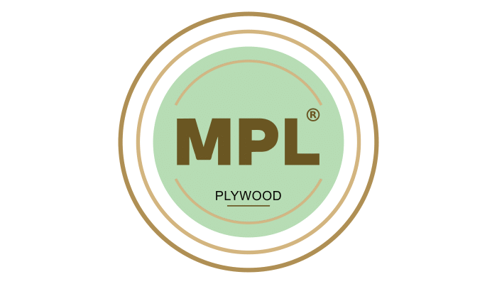 DM Marketing logo